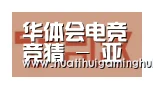 华体会平台合作伙伴二