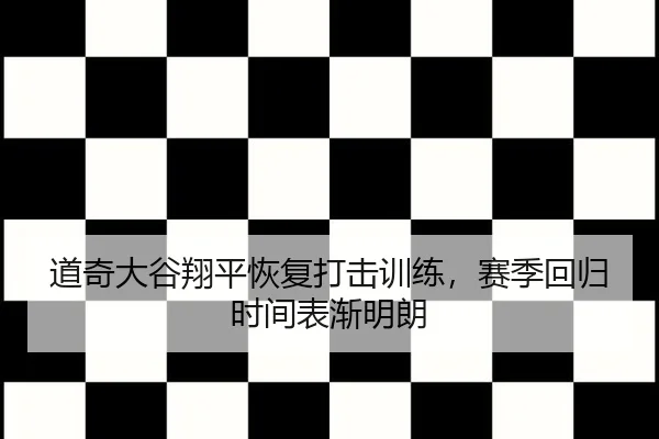 dao-qi-da-gu-xiang-ping-hui-fu-da-ji-xun-lian-sai-ji-hui-gui-shi-jian-biao-jian-ming-lang-2-499.jpg