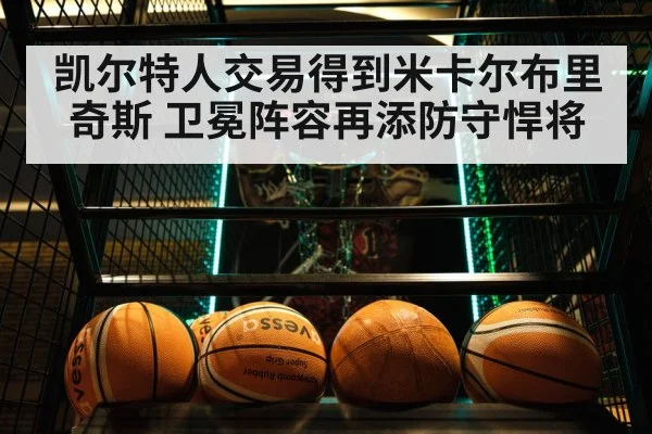 凯尔特人交易得到米卡尔布里奇斯 卫冕阵容再添防守悍将