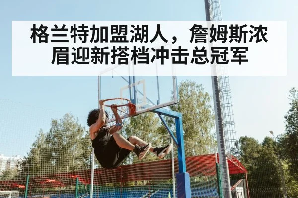 格兰特加盟湖人,詹姆斯浓眉迎新搭档冲击总冠军
