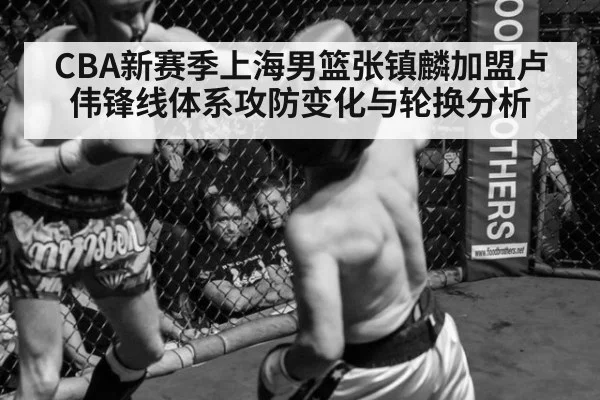 CBA新赛季上海男篮张镇麟加盟卢伟锋线体系攻防变化与轮换分析