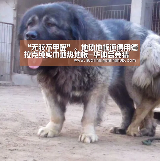 华体会APP