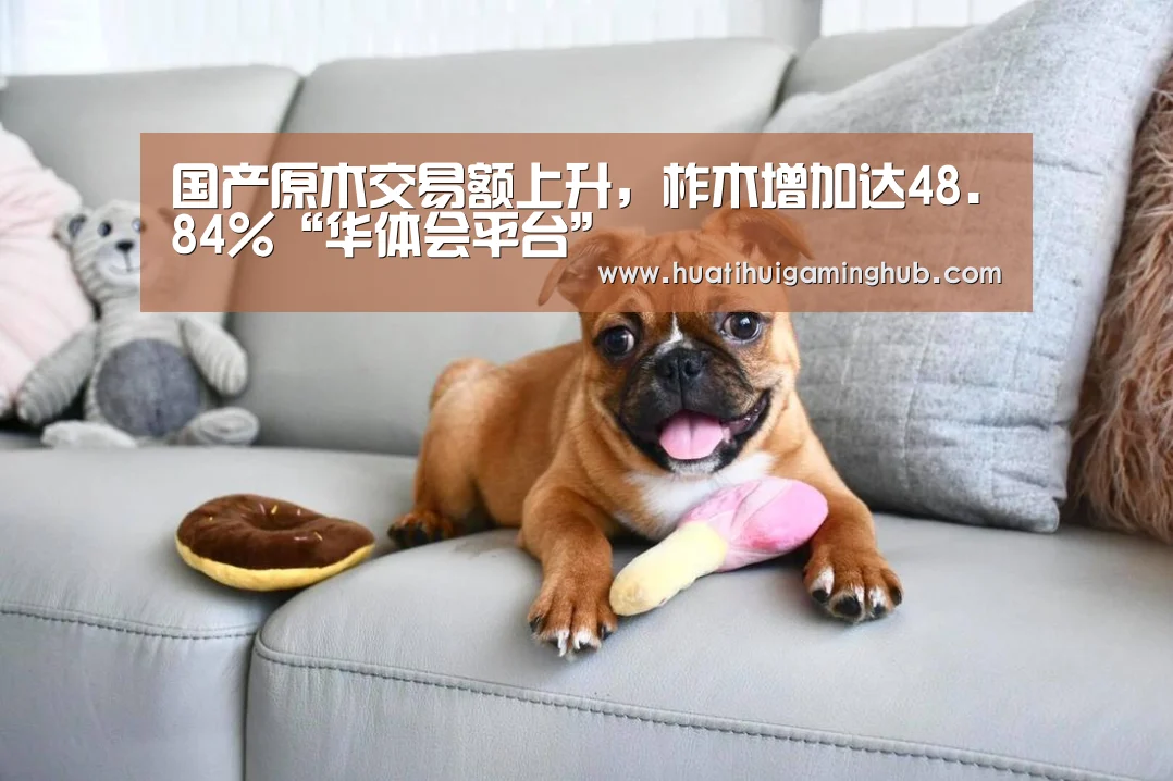 国产原木交易额上升,柞木增加达48.84%“华体会平台”(图2) 华体会竞猜