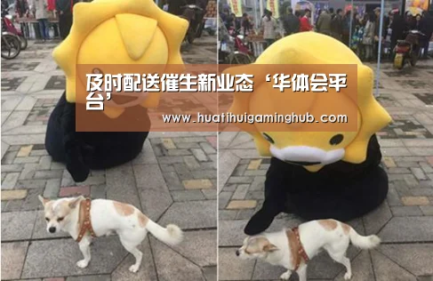华体会赛事