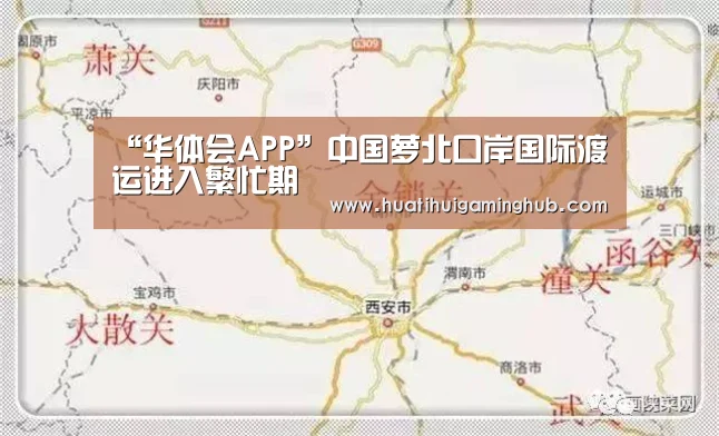 华体会竞猜