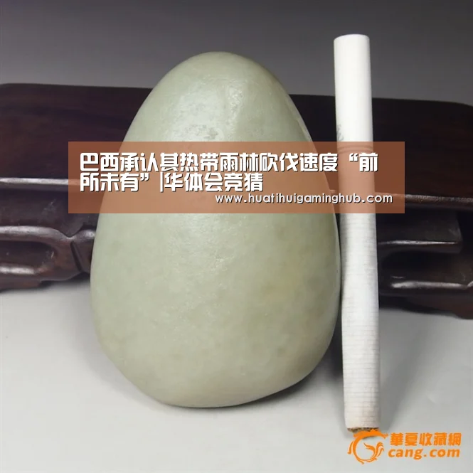 华体会平台
